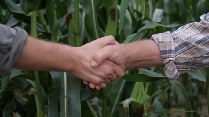 男人的握手农民商人对玉米田的交易成功