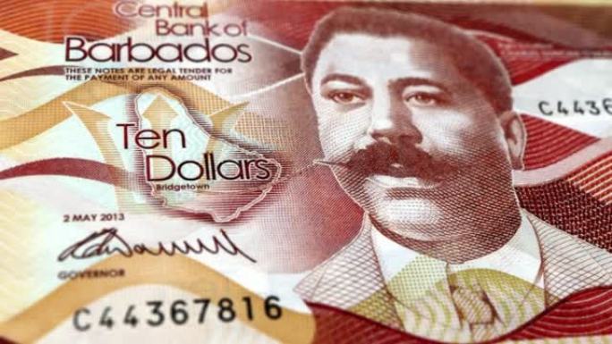 巴巴多斯美元纸币，巴巴多斯美元，巴巴多斯美元的特写和宏观视图，跟踪和多利镜头，巴巴多斯美元纸币观察和