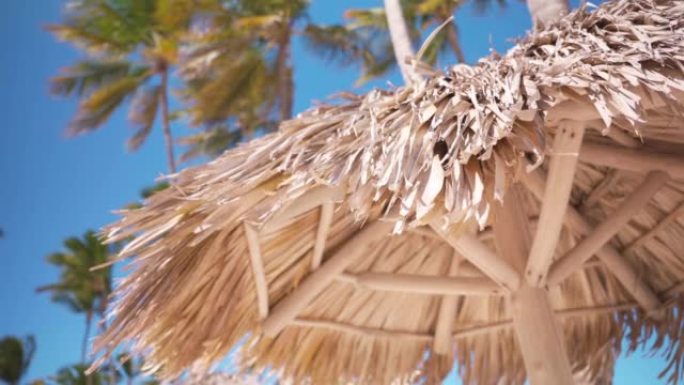 在蓝天和棕榈树的海滩上，一把破旧的遮阳伞的特写镜头