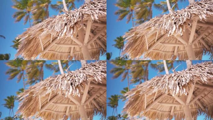 在蓝天和棕榈树的海滩上，一把破旧的遮阳伞的特写镜头