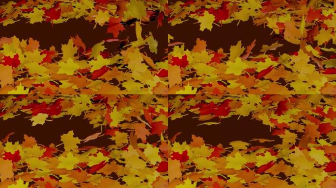 透明背景上的秋天落叶。吹风飞叶慢动作3D渲染视频