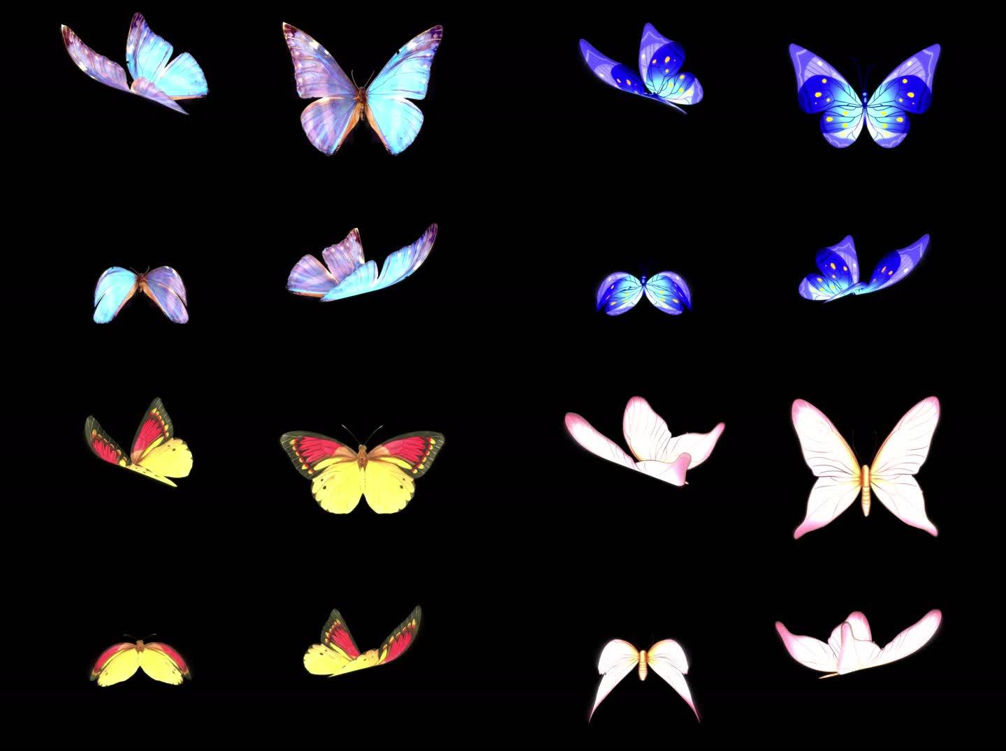 唯美蝴蝶，蝴蝶视频素材透明通道1