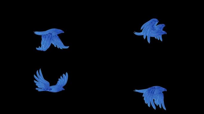 飞鸟绘画艺术循环-4k股票视频
