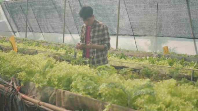 农民肖像在有机农场检查绿色生菜