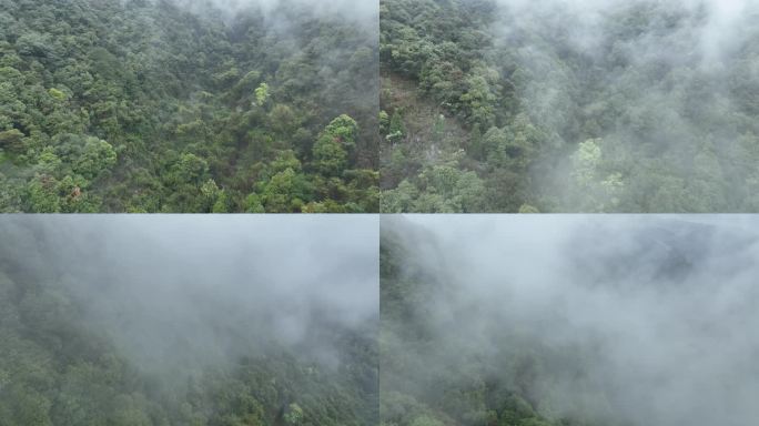 烟雨云雾缥缈的大山