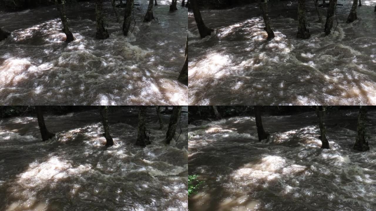 泥泞的洪水河中的溪流水