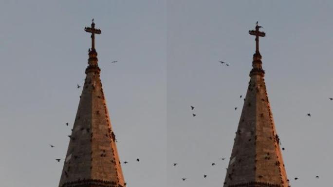教堂钟楼上的燕子