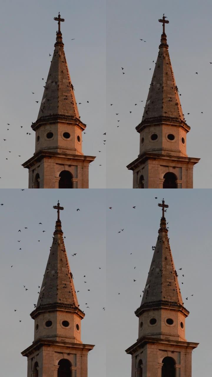 教堂钟楼上的燕子