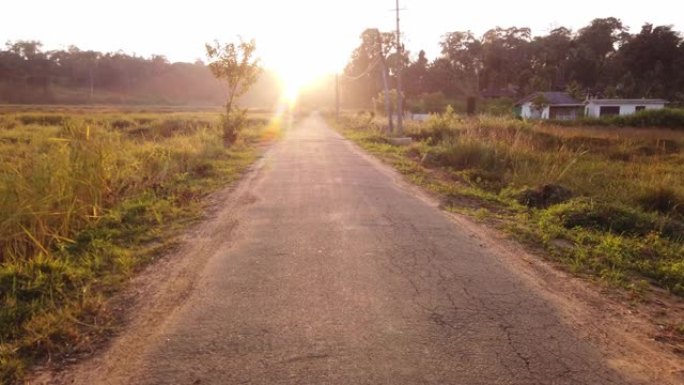 4k慢动作视频，在印度卡纳塔克邦Coorg日落时在植物包围的道路上散步