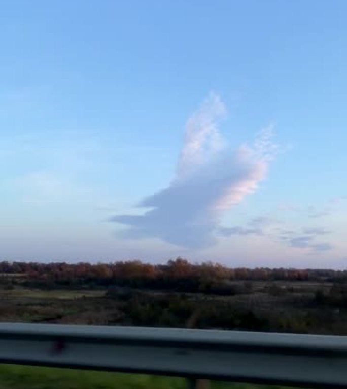 日落时鹰鸟形状的云