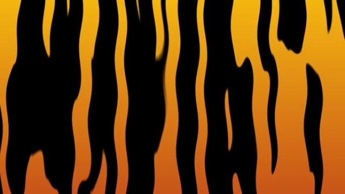 橙色和黑色老虎条纹动画图案。虎皮运动背景