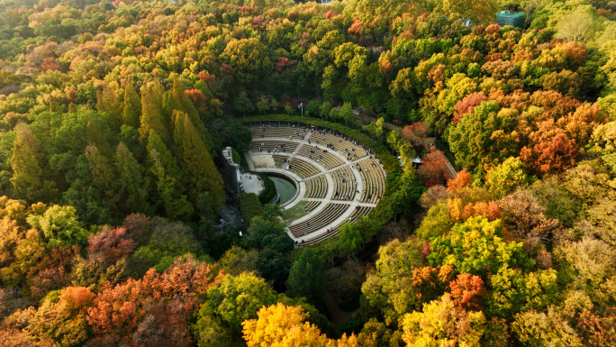 南京紫金山秋天