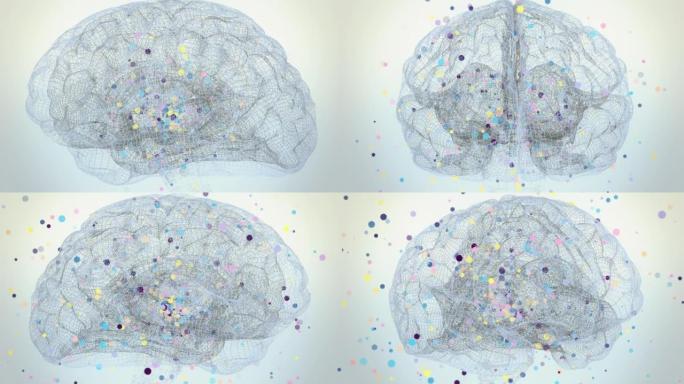抽象人脑创意三维大脑3d大脑