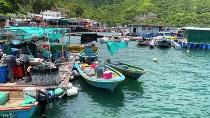 Po Toi O是一个渔村，提供美味的，负担得起的新鲜海鲜。位于香港西贡清水湾一角。