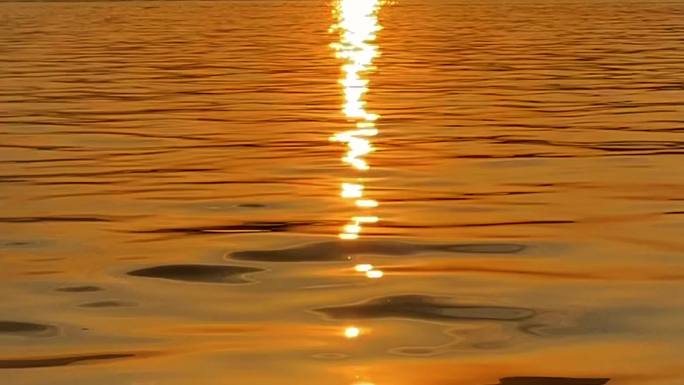 西湖湖面夕阳唯美水波纹鸳鸯戏水镜头素材