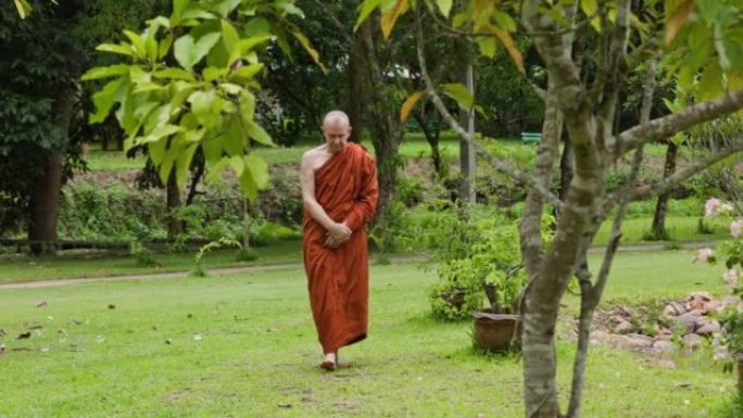 泰国森林修道院的和尚漫步冥想