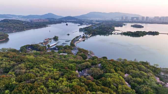 无锡鼋头渚樱花23年最新4K航拍大场景