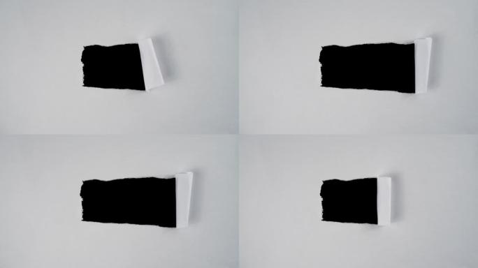 复制空间的水平撕纸停止运动。视频效果叠加的撕纸动画