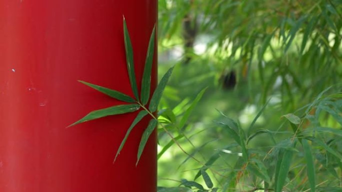 竹叶与日本精神传统红杆