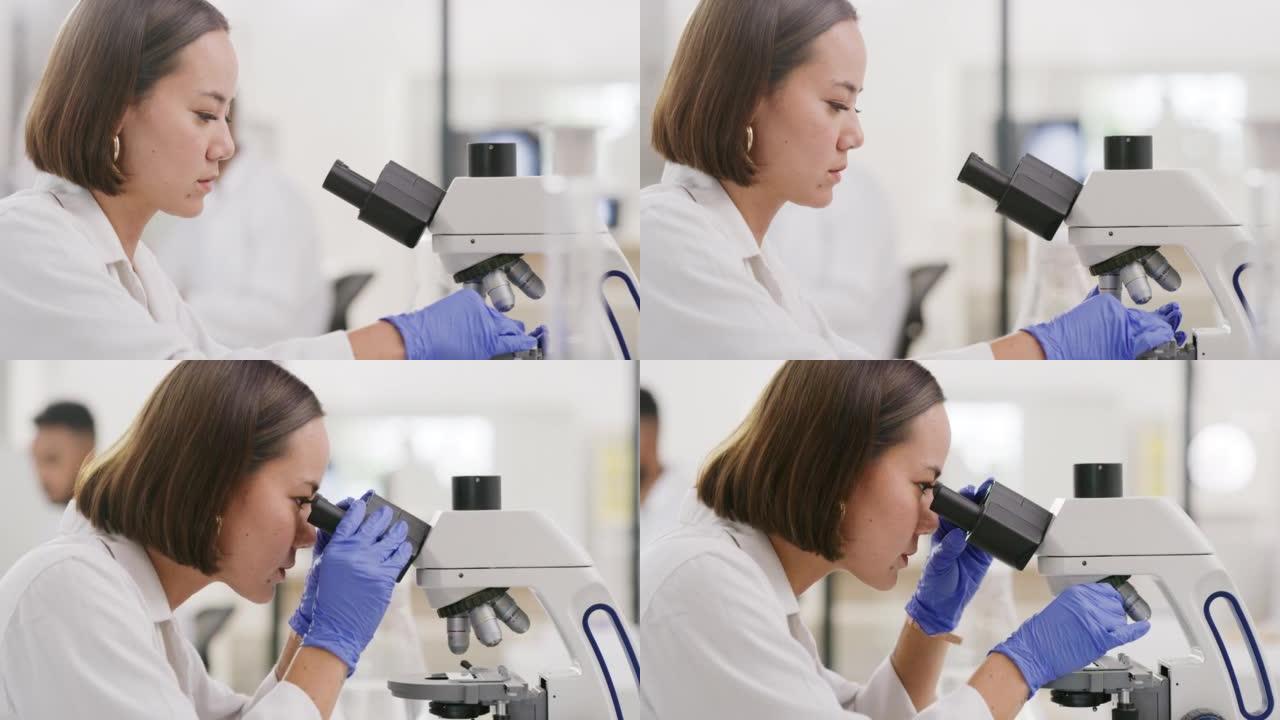 科学，显微镜和研究与一名亚洲女医生在实验室从事创新或发展。医学，医疗保健和分析与一名女科学家在法医实