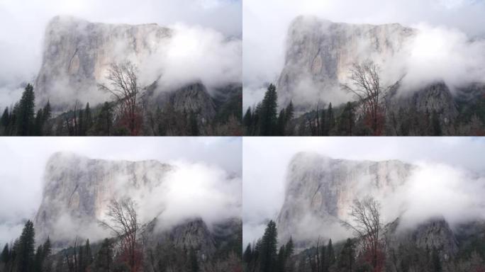 雾山，悬崖或陡峭的岩石，薄雾笼罩的秋天，加利福尼亚的峭壁或悬崖。