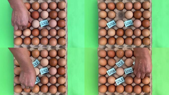 鸡蛋壳质量问题，矿物质，维生素d，色素制品，家禽业