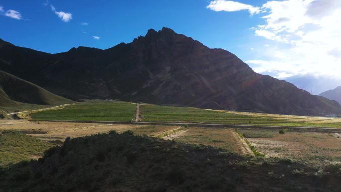 绿色基地 高原生态氧吧 种树造林绿色基地