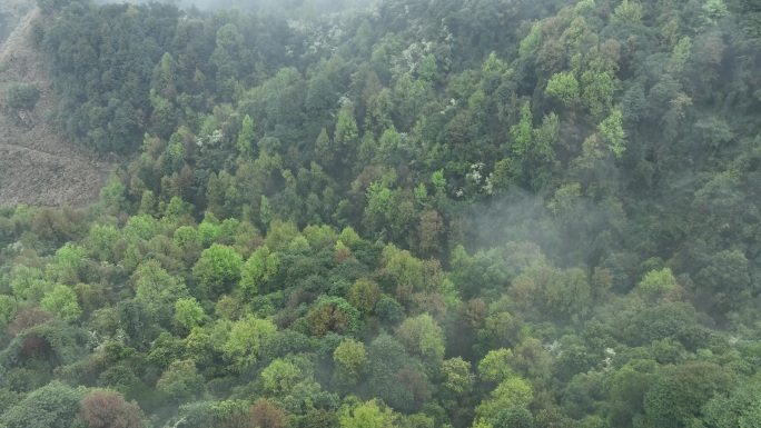 烟雨云雾缥缈的大山