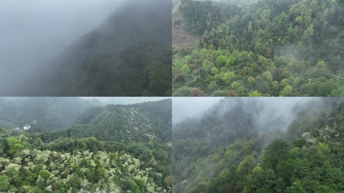 烟雨云雾缥缈的大山