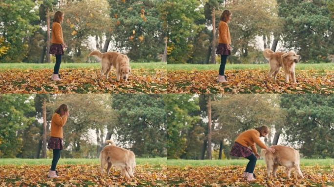 小女孩在秋季公园和金色的狗玩得开心