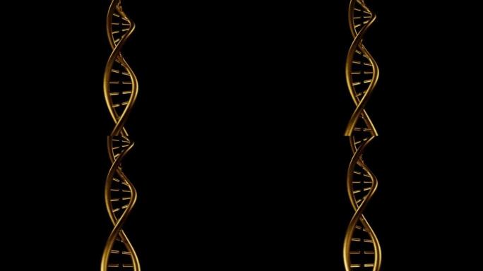 旋转金DNA结构叠加背景环
