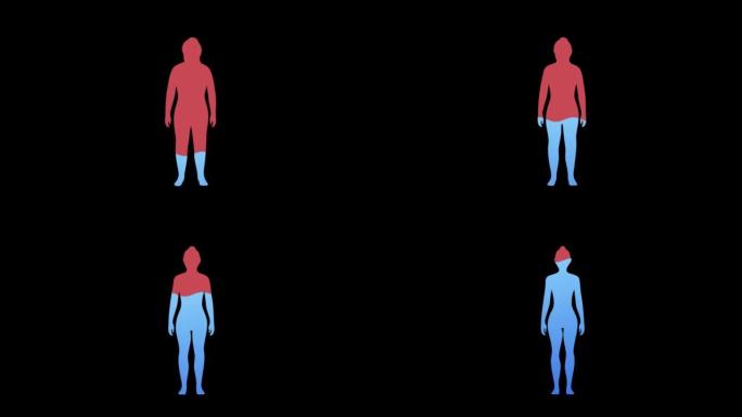 黑色背景上人体动画中的水率。充满水的女人剪影。医疗保健概念。4K
