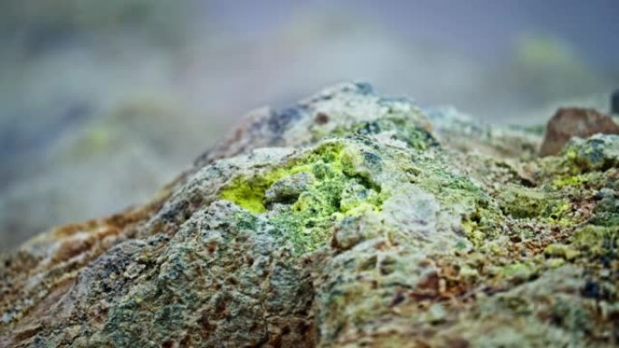 喷气孔附近岩石上的藻类特写镜头