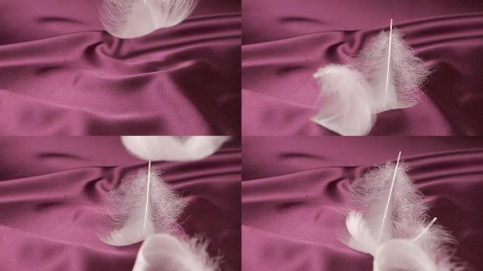 白天鹅的羽毛落在紫罗兰的梅子丝上。慢动作。