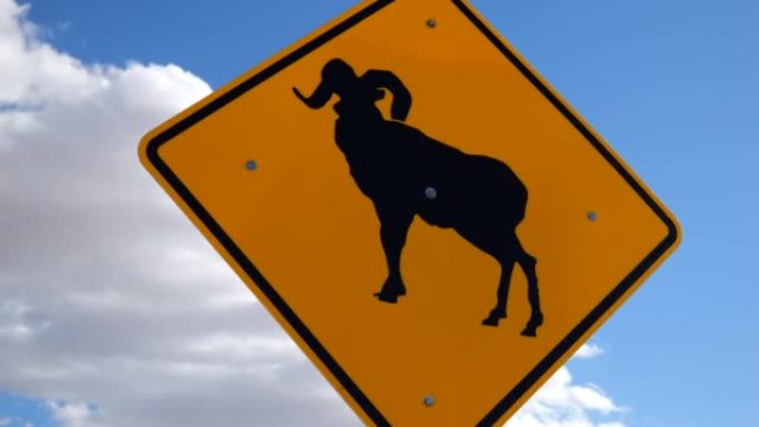 内华达沙漠大角羊标志