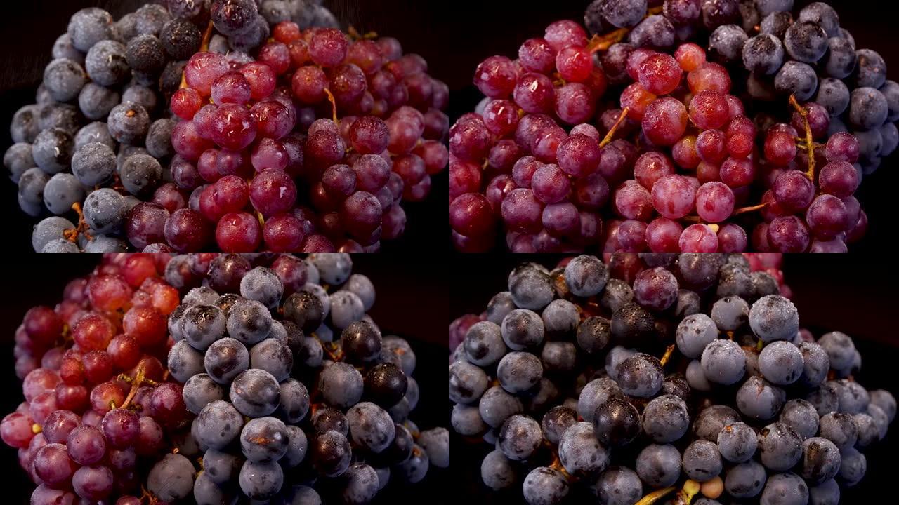 黑色背景上的葡萄。成熟的有机红葡萄堆在黑色背景上旋转。葡萄酒生产用葡萄。