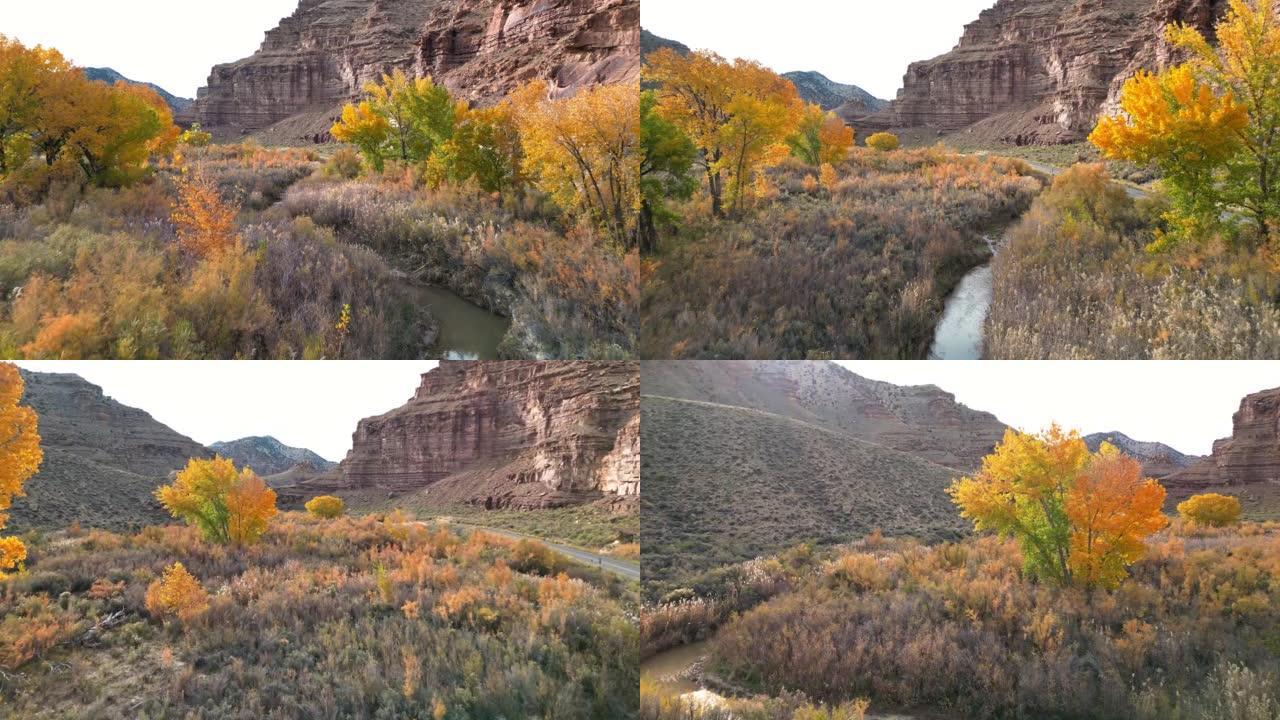 在犹他州的一个峡谷中穿越九英里溪的秋天色彩