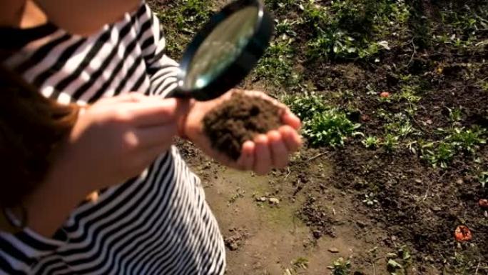 孩子用放大镜检查土壤。选择性聚焦。孩子。