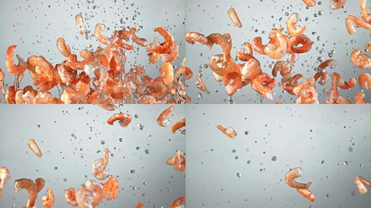 溅满水的虾在飞行中飞起并旋转。以1000 fps的高速相机拍摄。