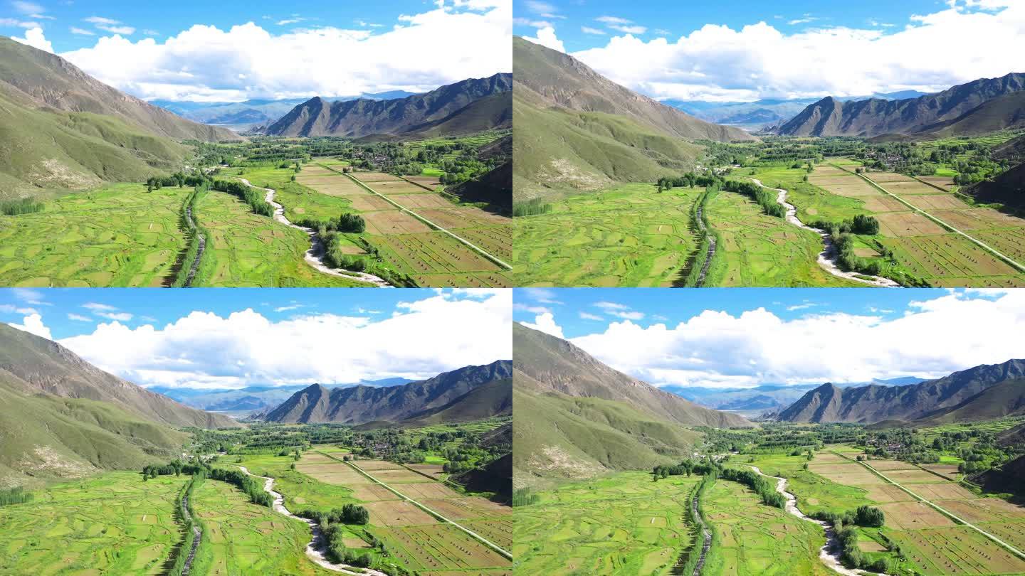 农村农业 田园风景 西藏乡村 绿色田野
