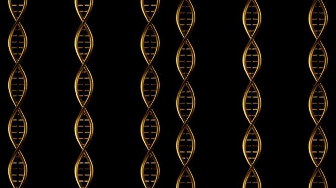 无尽的黄金金属DNA背景环