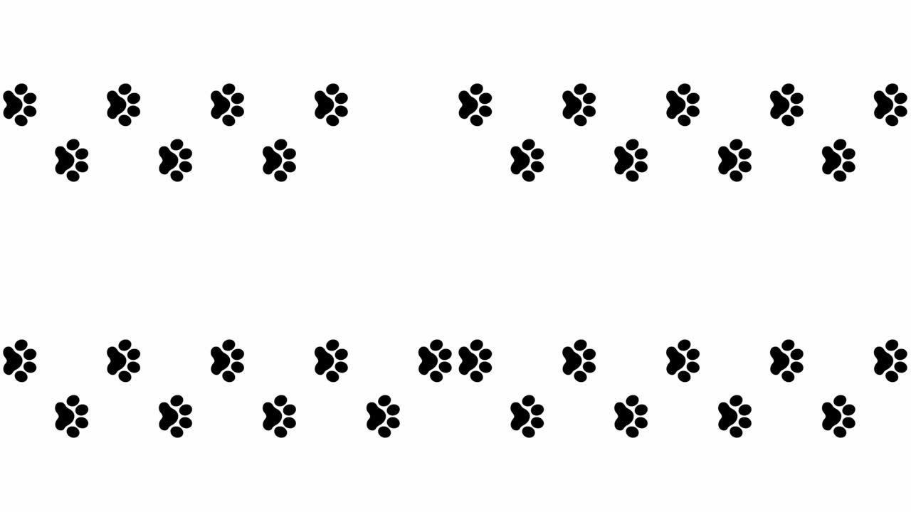 动画猫黑轨道。猫的爪印轮流出现。循环视频。孤立在白色背景上的矢量平面插图