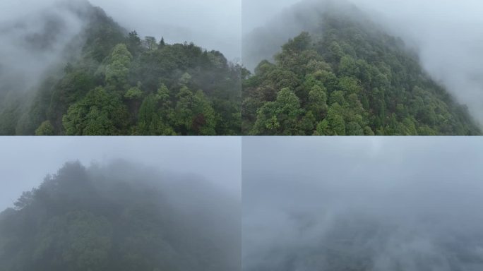 烟雨云雾缥缈的大山