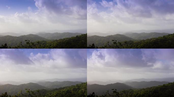 云雾森林，巴拿马生态系统探险大自然