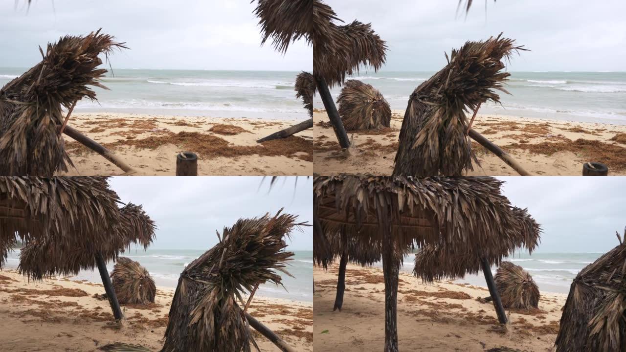 暴风雨过后的热带海滩。在大风天气中，棕榈叶制成的落伞会冲向海岸海浪。澳门台风过后的海滨