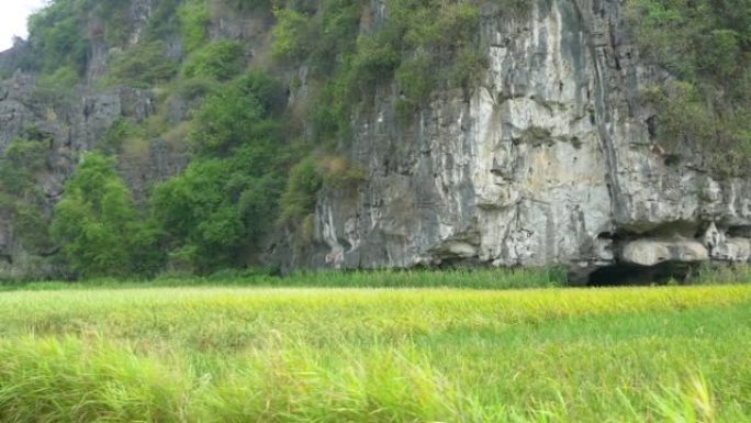 宁平镇附近的稻田和岩层