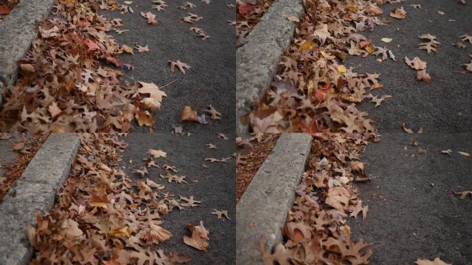 秋天在人行道上收集的叶子