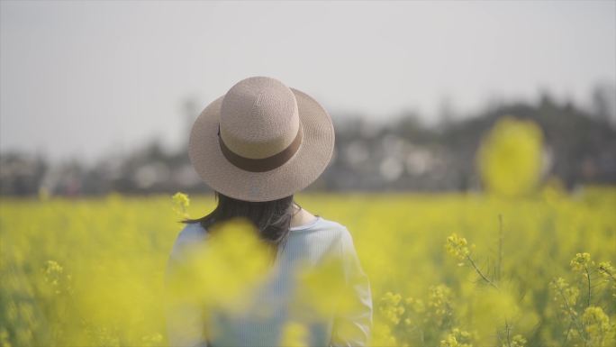 青春文艺春游踏青唯美清新美女手摸油菜花