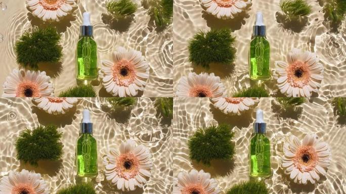 化妆品瓶上有移液管和向日葵花，非洲菊花瓣花在水面上有滴。反射阳光和阴影的水。波浪水的慢动作。广告