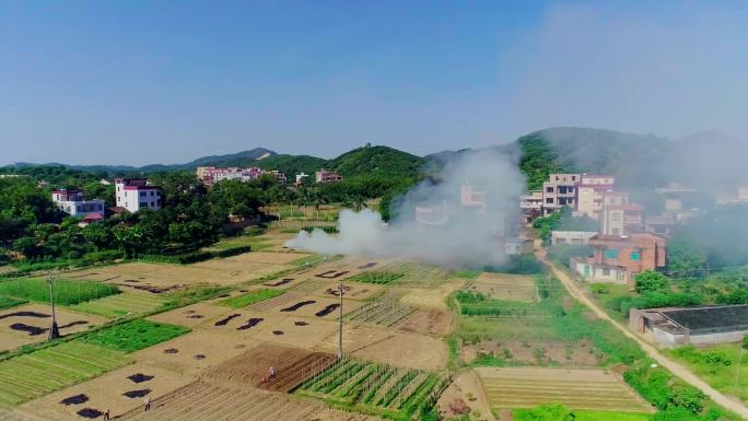 稻田燃烧污染
